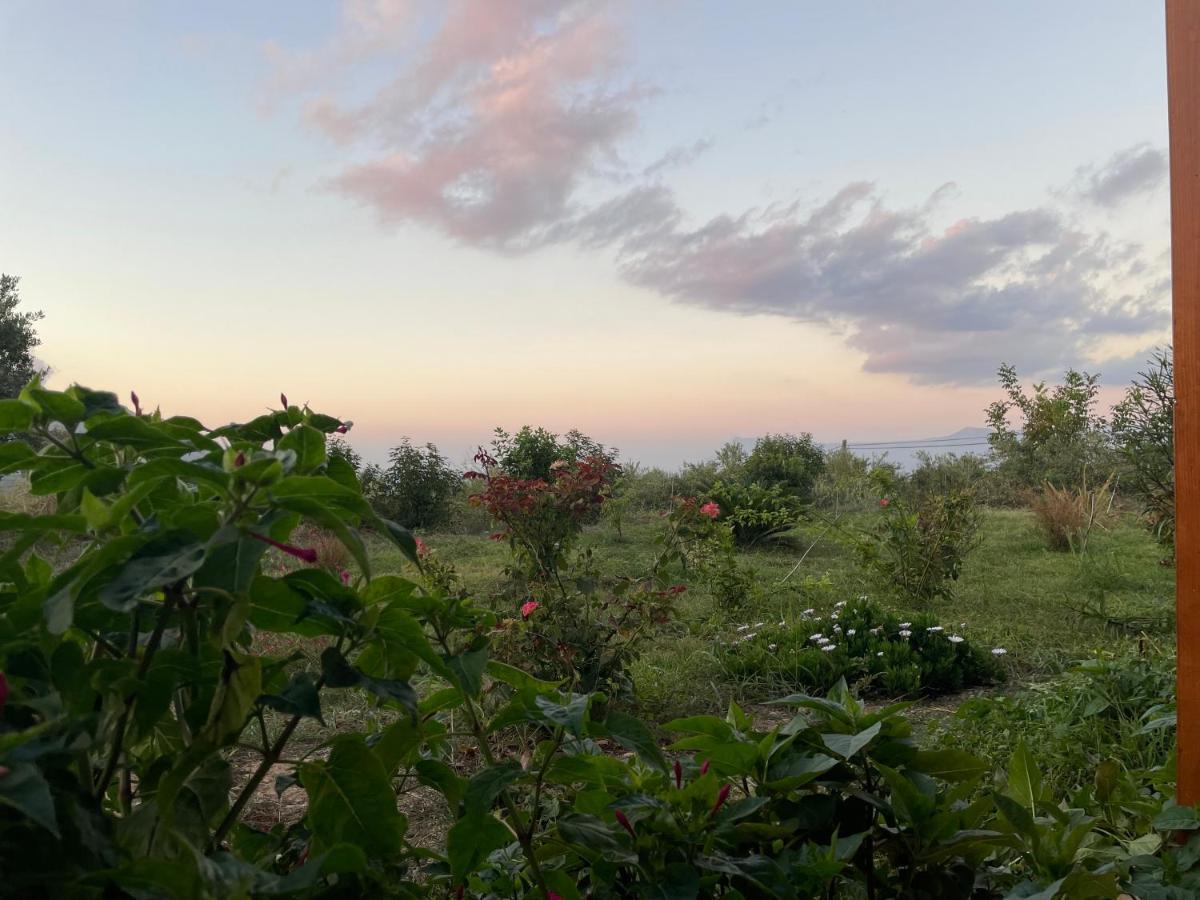 Chrissi'S House With Garden And Sea View Zerviana Villa Kissamos Ngoại thất bức ảnh